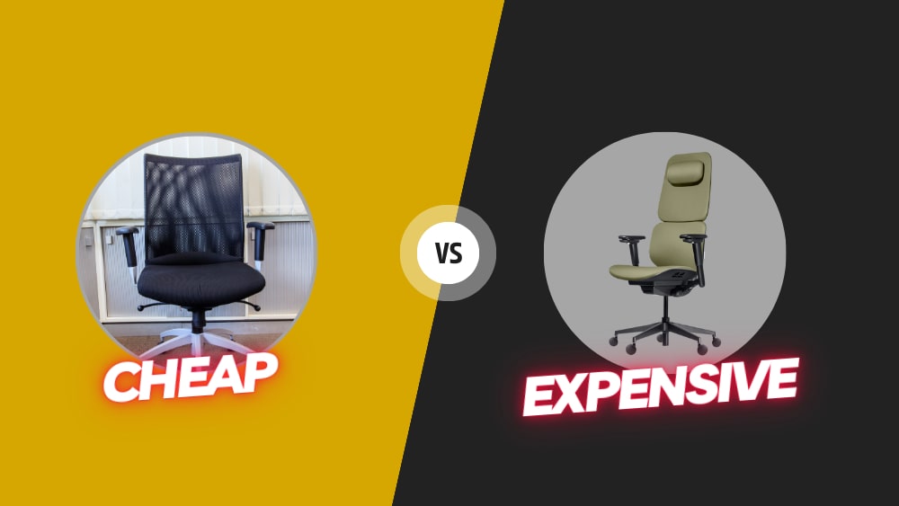 Cheap vs. Expensive Ergonomic Chairs What's the Difference? ZUOWE