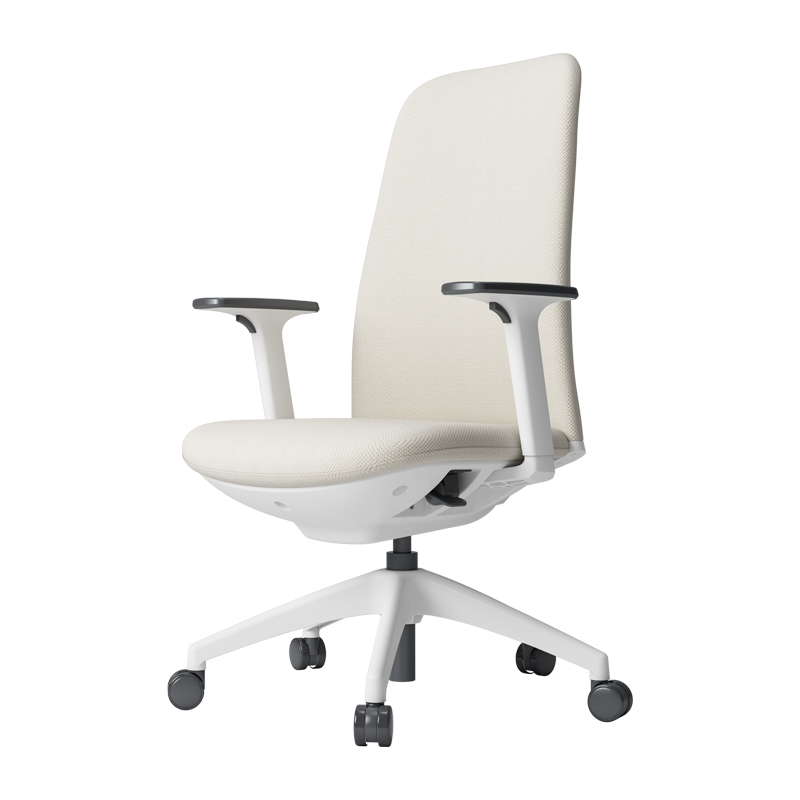 ZUOWE Comfortable Office Chair for Home